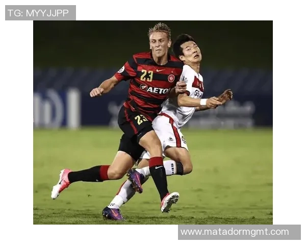 纽卡斯尔对西悉尼比赛前瞻与胜负分析预测详解