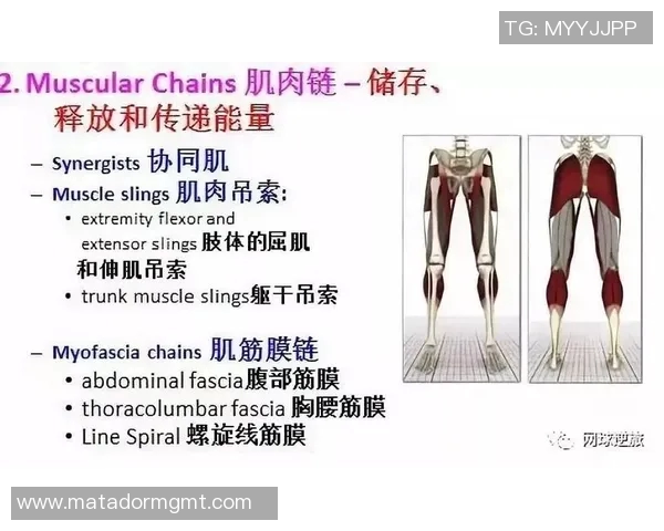 西安网球队实力对比深度解析与未来发展趋势探讨