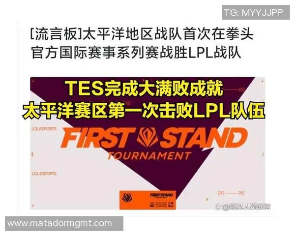 TES战队比赛经验分析与数据解读：成败背后的深层因素探讨